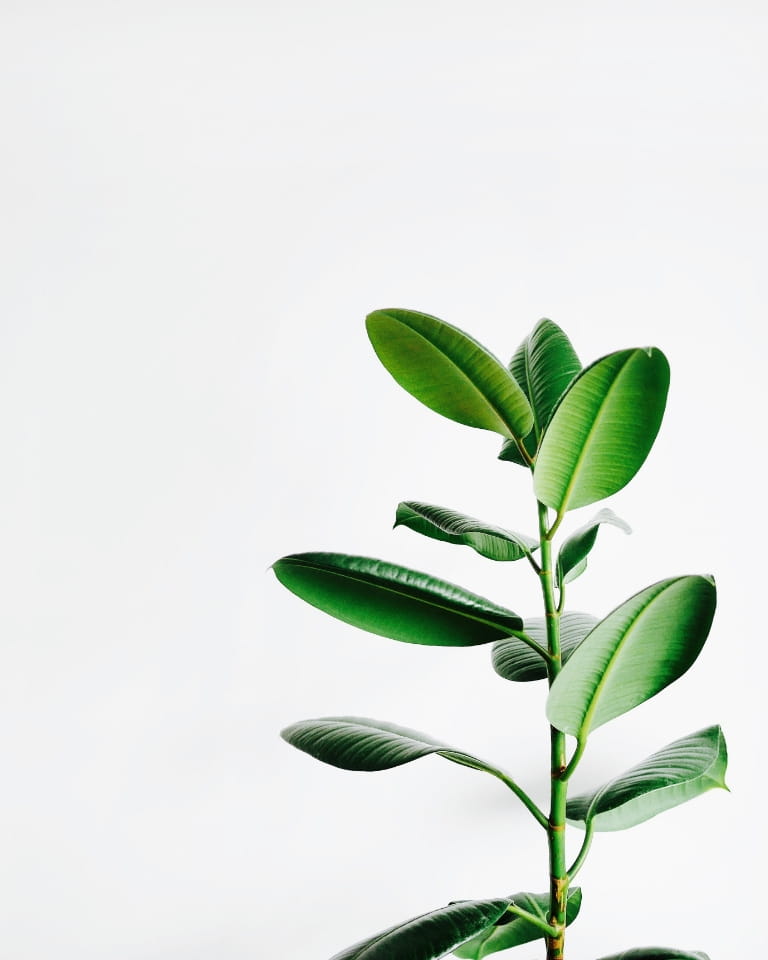 環境への取り組み